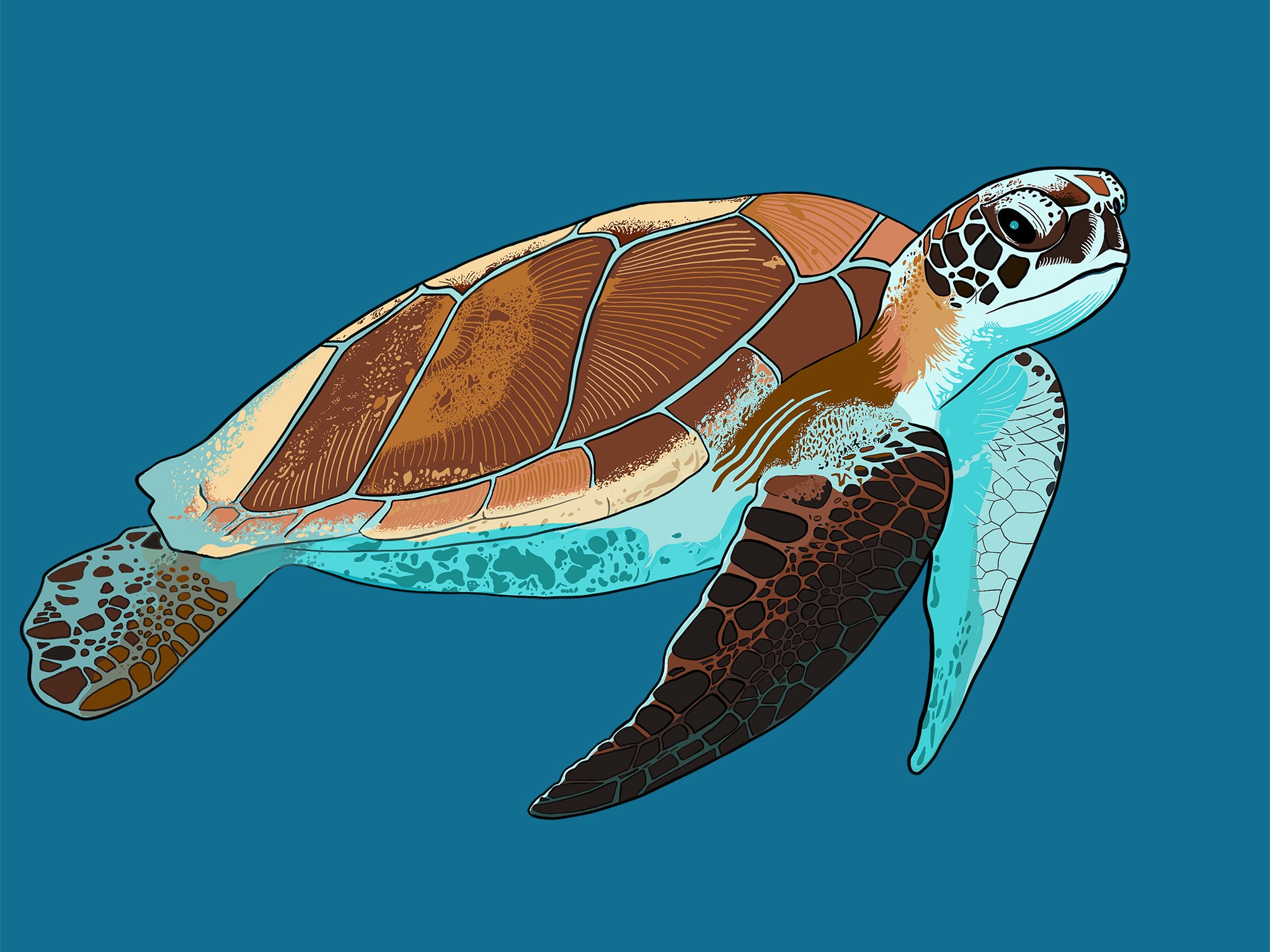 Une illustration d'une tortue de mer en train de nager